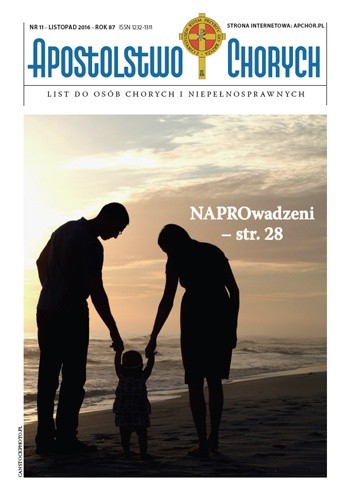 Nasza Okładka 11/2016